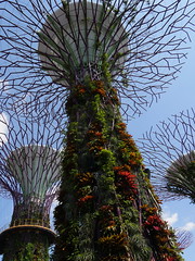 Singapore 01 Gardens by the Bay