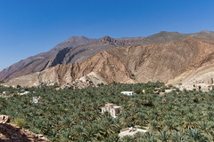 Oman - 12 Février 2019