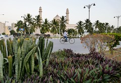 2019 cycling in Oman and the Emirates