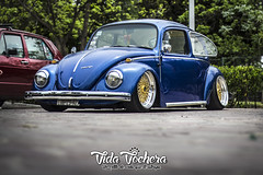EXHIBICIÓN | Autos VW en Parque Bicentenario Qro. (16 Mar 2019)
