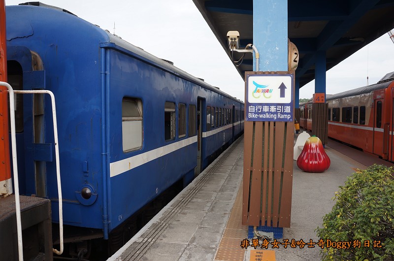 藍皮火車12