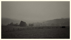 Nebel im Sauerland