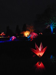 Christmas Glow at RHS Garden Wisley 2