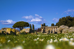 Paestum - Greek experience in Italy