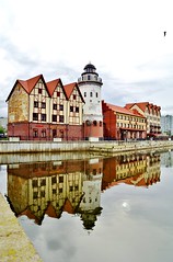 2013-09-25 do 27 HII Rosja - Kaliningrad (Królewiec)