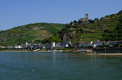 2018-08 Rhine River