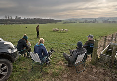 English Nursery Sheepdog Trials Final, Hutton in the Forest, Cumbria, 24/02/19