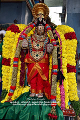 2018 - Arudra Vilambi  - Vaaleeswarar Temple