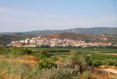 Ascó - La Ribera d'Ebre