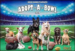 Adopt -A- Bowl