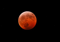 Lunar Eclipse, January 20, 2019, Atlanta, Georgia