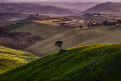 La campagna toscana by Eugenio Costa / The Tuscan countryside