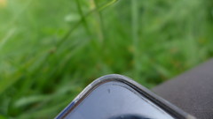 2019 winter-spring hatfield UK Leica dlux6 untouched unprocessed