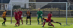 Largs v Beith