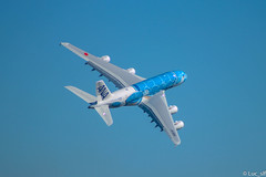 A380-800 ANA