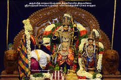 2019 - Ramanavami Celebrations - MahavaPerumal Temple , Mylapore