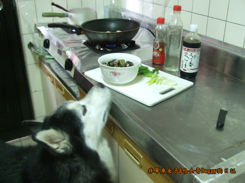Doggy酒蒸豆腐蛤蜊04