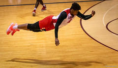 York Men's Volleyball vs. McMaster - March 2, 2019