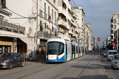 Trams in Algiers