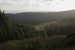 Slieve Bloom mountains