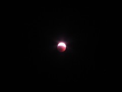 Lunar Eclipse (Jan 20-21, 2019)