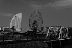 Yokohama Spring_2019