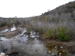 Upland Colonies trails