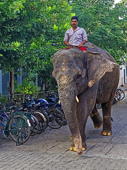 2014 SI Pondicherry