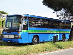 LINE Pavia (I) buses
