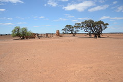 Sandleton area, South Australia