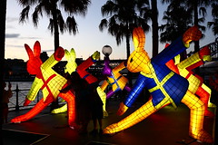Sydney Chinese Lunar New Year Lanterns 2019