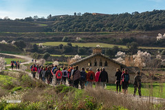 18a. Caminada Popular de l'Urgell, 3 de març de 2019