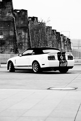 2007_10_28_Grand Garage Wengler Ford Mustang