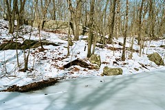 Rocks of Lincoln Woods
