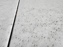 Salt Finish Concrete Close Up