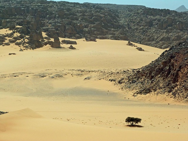 Karkur Tahl en Jebel Uweinat (Desierto Líbico, Egipto)