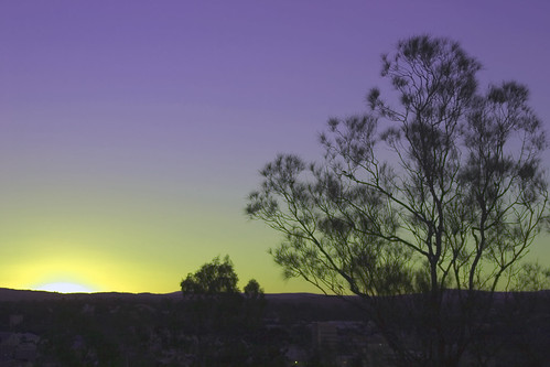 sunset tree silhouette canon australia 10d queensland