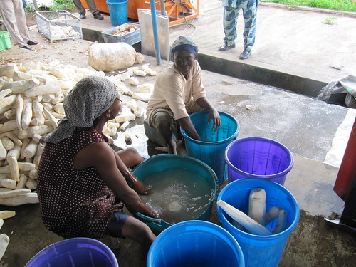 Two women wash and prepare cassava for processing. Photo: HarvestPlus