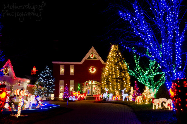 359:365 Crazy Christmas lights