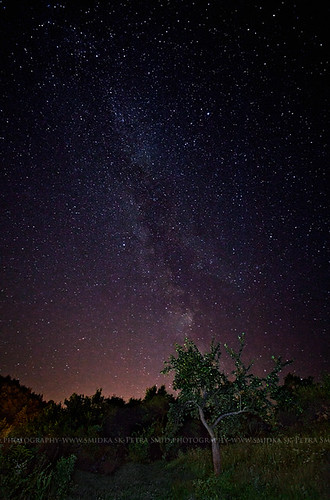 tree night canon stars landscape 5d slovakia 1740mm 5dmarkii smidka smidkask