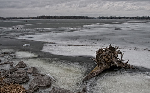 tree ice rocks kingston stump buoys rideaucanal cataraquiriver nikonflickraward