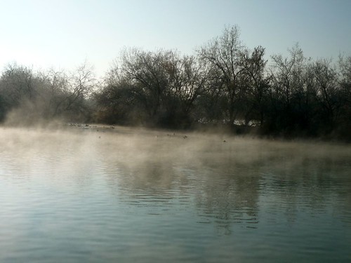 mist reflection water pond idaho nampa wilsonsprings wilsonponds trophypond