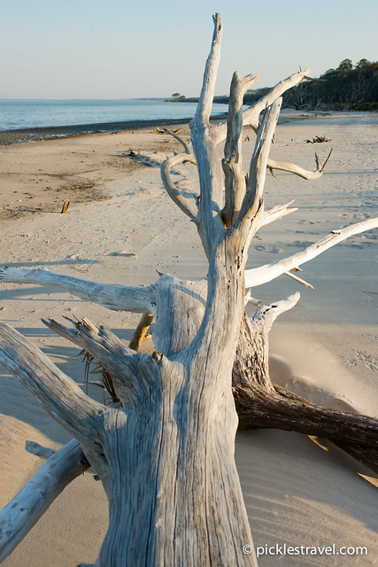 Driftwood Beach