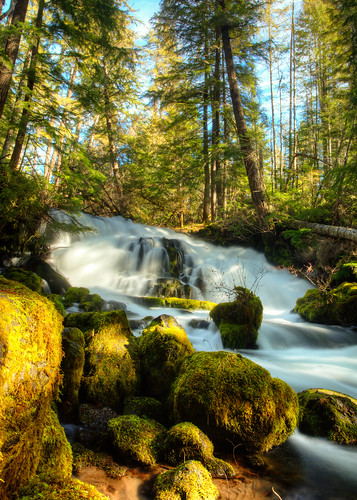 winter nature rock oregon forest landscape outside waterfall moss woods outdoor peaceful places prospect namerica
