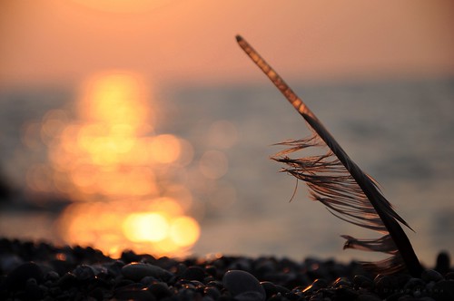 mare bokeh tramonti controluce spiagge marinadicamerota piume explored diegomenna scrivereleemozioniconlaluce