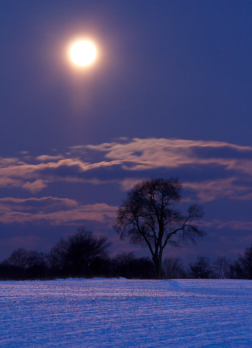 morning blue winter moon snow field night
