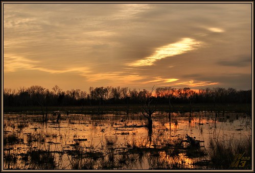 park sunset reflection water pond texas houston swamp wanam3 elfrancoleepark