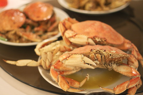Dungeness Crab Fest - Steamed Crab