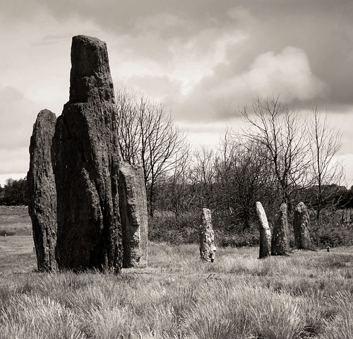france bretagne menhirs illeetvilaine néolithique saintjust mégalithes landedecojoux
