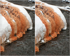 Geyser Island Sprouter tufa detail